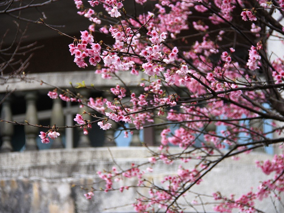 Modifica generale del PPP thumbnail