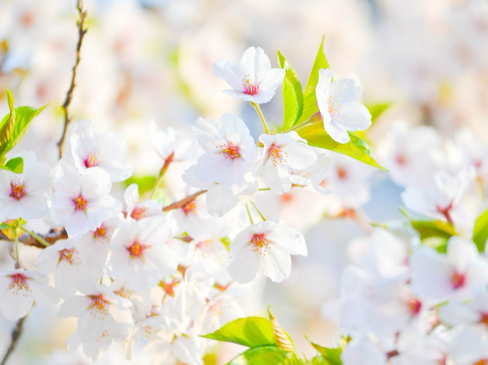 가나다다다 thumbnail