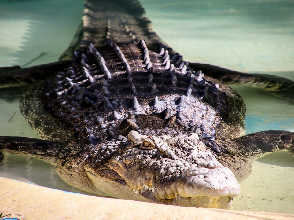 ㄴㄴㅁㅁㅁㅁㅁㅁ thumbnail