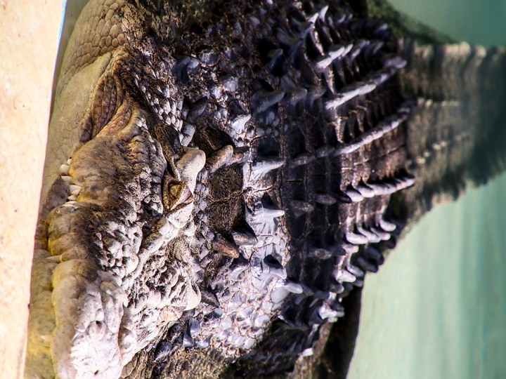 미지정 팬픽님 thumbnail