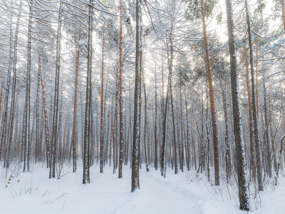 팬픽 테스트 thumbnail