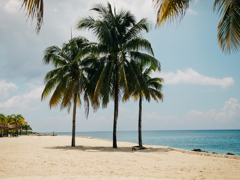 Attendez, qui a supprimé ce compte ? Attendez, qui a supprimé ce compte ? Qui l’a supprimé ? thumbnail