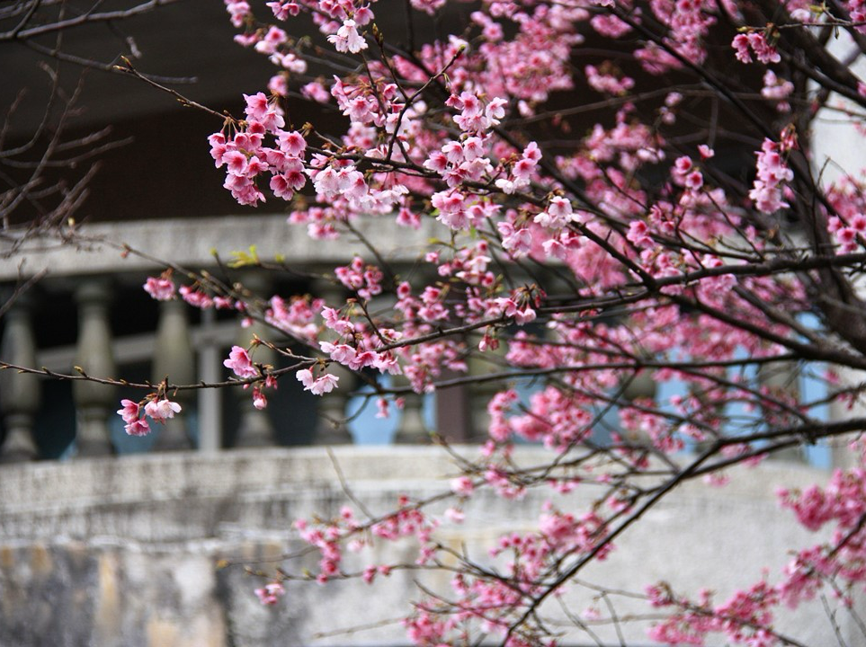 ㅇ ㅇ ㅇ  thumbnail