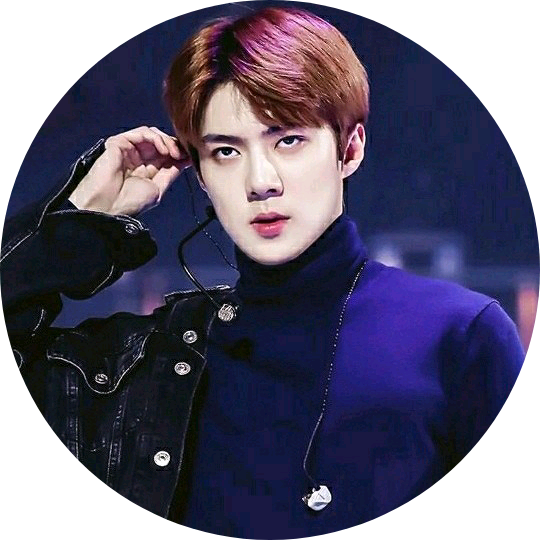 SEHUN image
