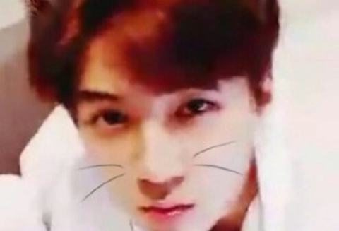 고양이를 사랑한 여인,그녀를 사랑한 고양이 thumbnail