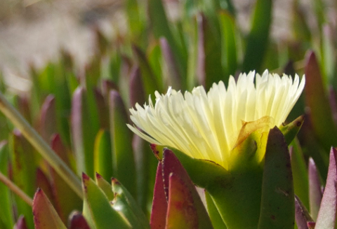 ㅁㅁㄴㅂ12451 thumbnail