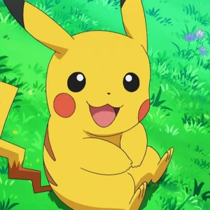 피카츄가나라예요 profile image