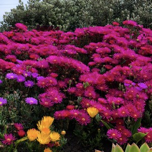 a1769388429336 profile image