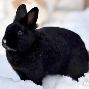 내데이터가다어디로 profile image