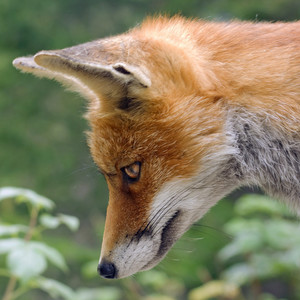 404548a0a90a73f2e98c69811c2786dd's profile image